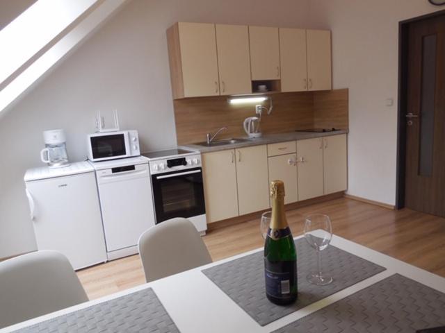 Apartman Kamenice Kamenice nad Lipou Buitenkant foto
